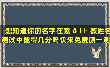 想知道你的名字在紫 🌷 薇姓名测试中能得几分吗快来免费测一测！